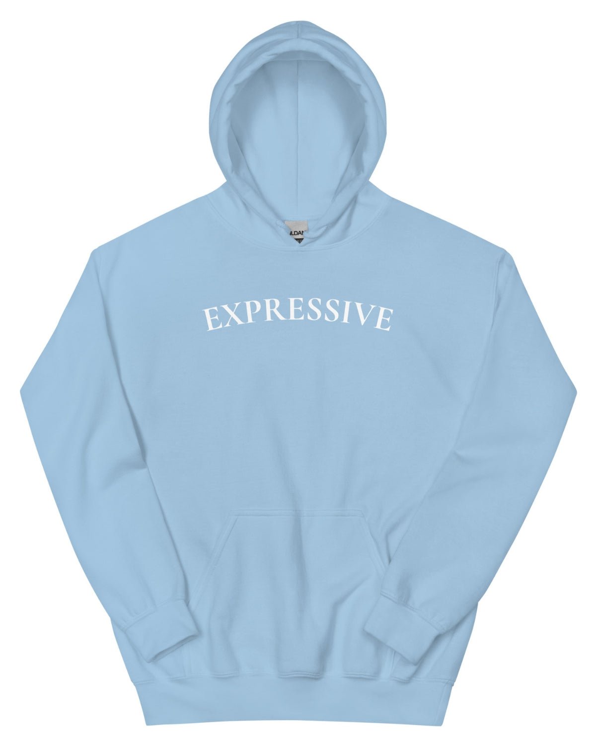 Expressive Hoodie [Baby Blue] - VTLY